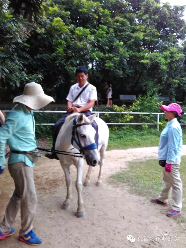 ���ҷ���׌��������á�2015��B�T�м�����(ji��)�����