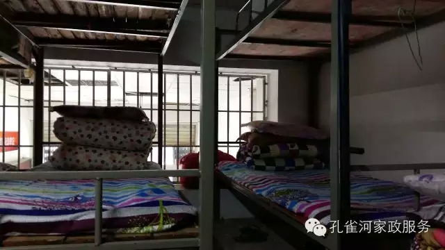 ��ȸ�Ӽ�����ķ������ů��ů��������