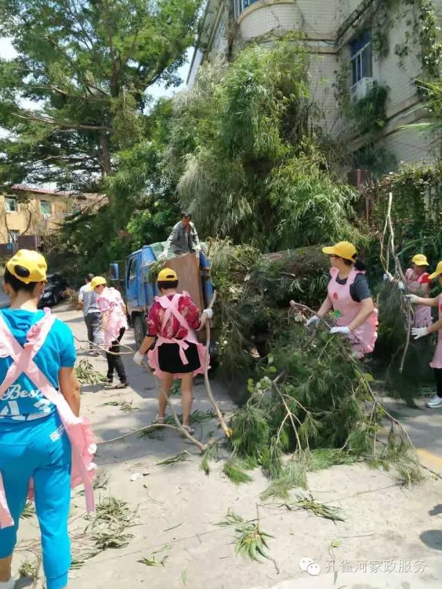 ��������y���������