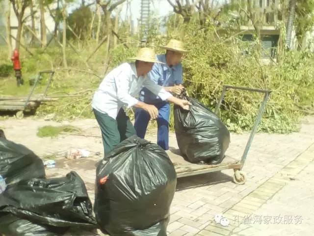 ��������y���������