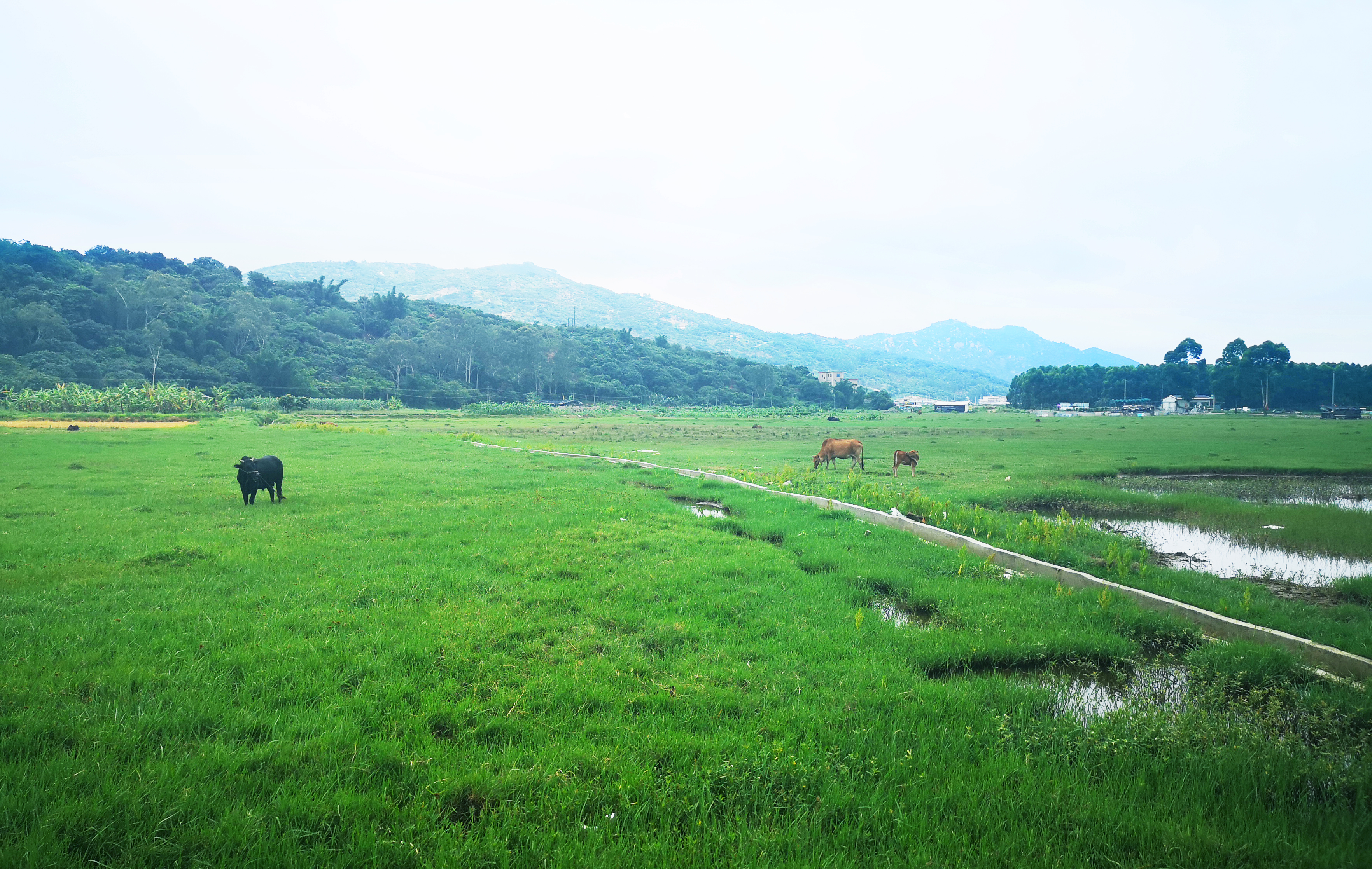 ���؄e��Ϣ���@�ε��ի@�H�S����ȸ���H�ӻ��(d��ng)�����Y(ji��)������