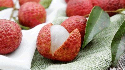 ��֦����һ���@��������ȸ����ɩ��Ӗ���f��